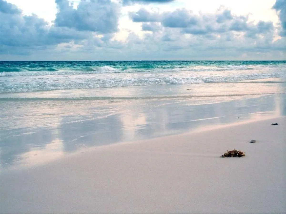Beachfront Suite In The Best Location! Cancun